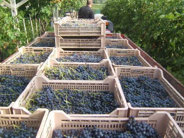 Сортировка продукции