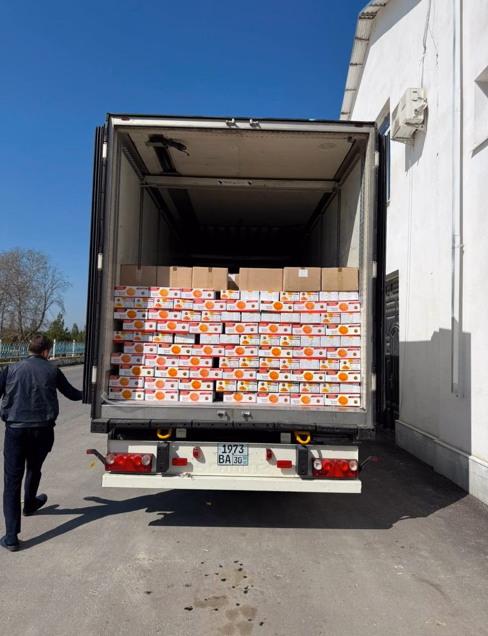 Loading boxes into a container