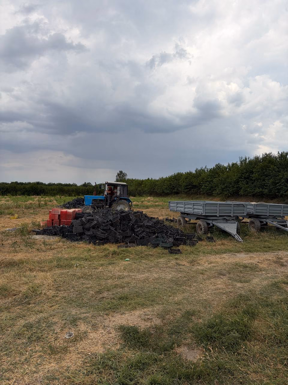 Crates in the field