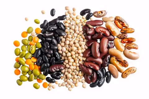 Seeds & Legumes